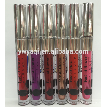 Labial mágico brillo labial por mayor brillo Lipgloss empaquetado